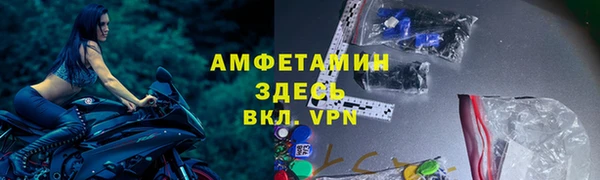 ГАЛЛЮЦИНОГЕННЫЕ ГРИБЫ Покровск