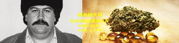 ГАЛЛЮЦИНОГЕННЫЕ ГРИБЫ Покровск