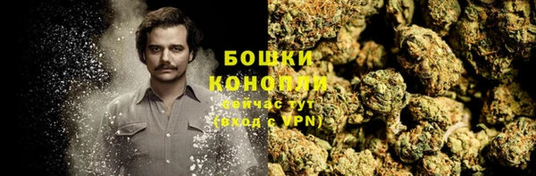 ГАЛЛЮЦИНОГЕННЫЕ ГРИБЫ Покровск