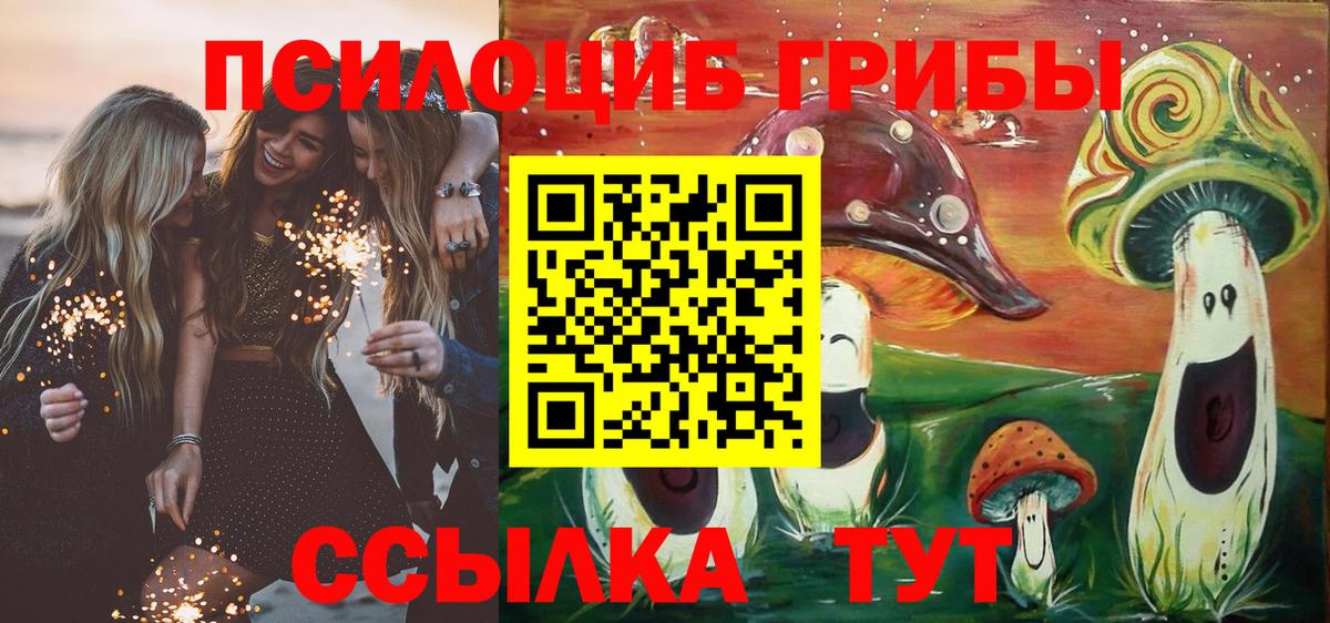 Галлюциногенные грибы прущие грибы Абакан
