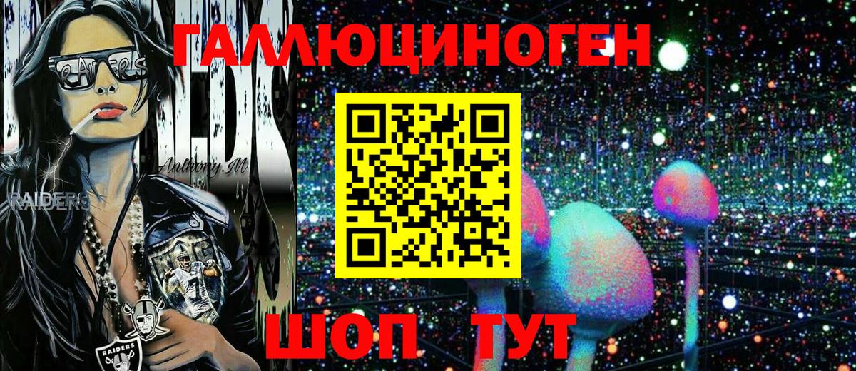 закладка  Галлюциногенные грибы Psilocybe  Вход с VPN  Абакан 